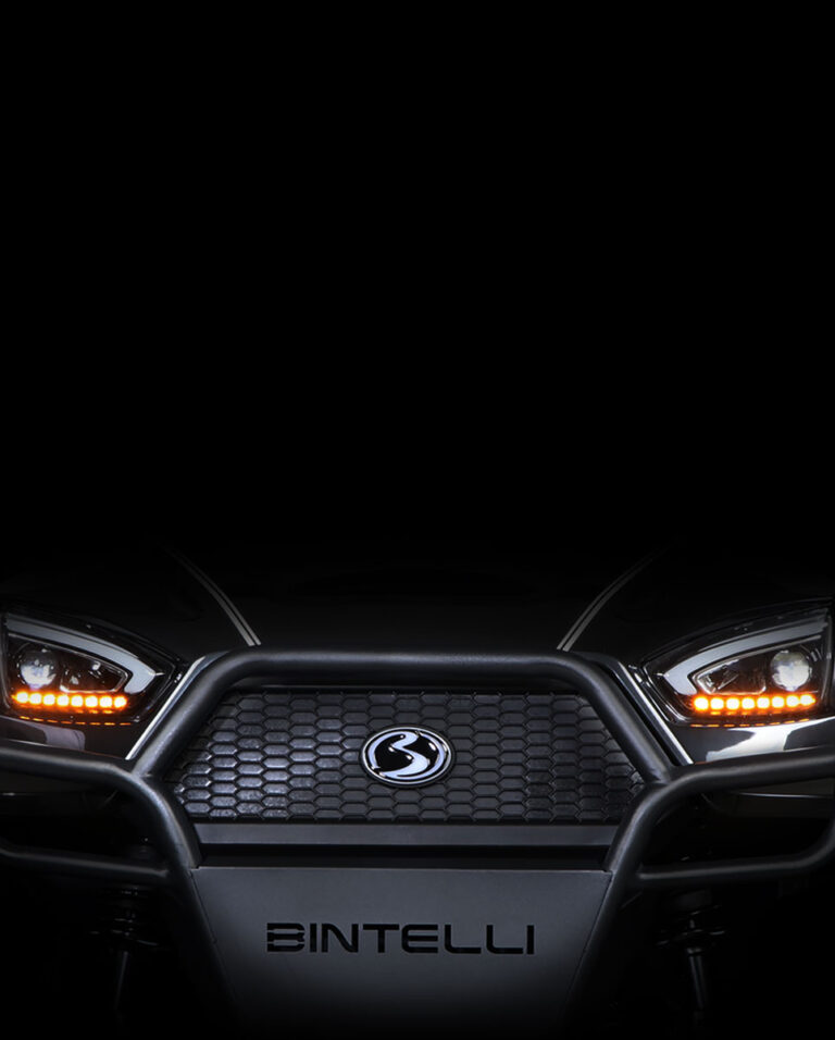 dark image with golf cart front bumper and headlights