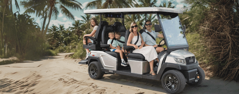 Bintelli Beach Golf Carts