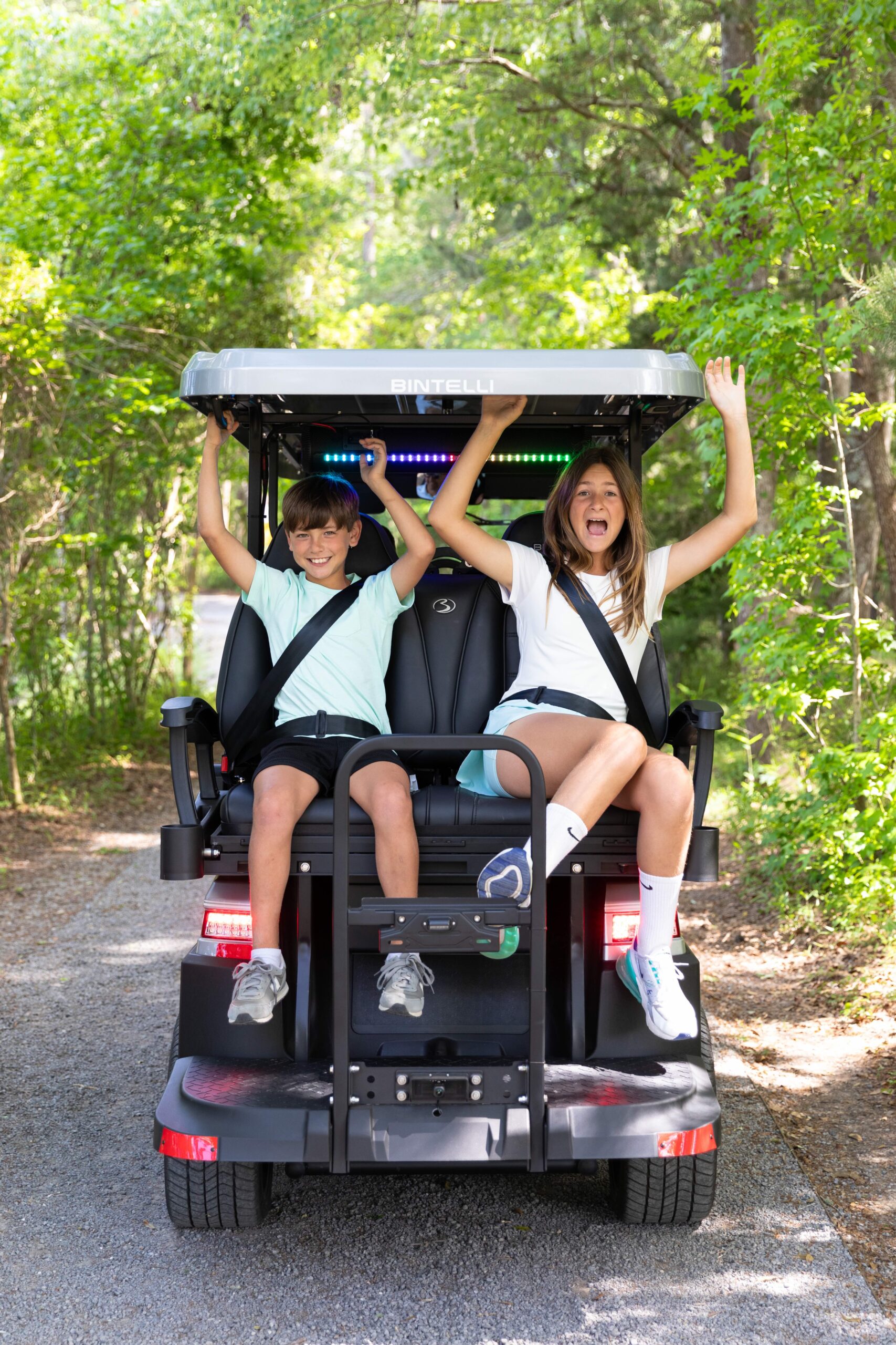 Bintelli Golf Cart Family - Rear Seating