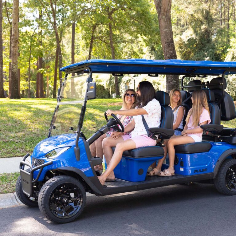 activev 6 seater golf cart